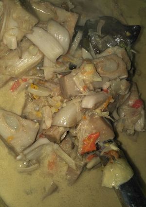 Foto resep Jangan tewel (lodeh Nangka muda)