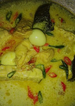 Foto resep Sayur tahu tempe telur santan