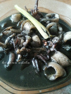 Foto resep Cumi kuah hitam