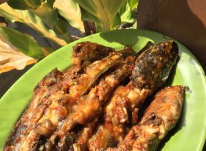 Foto resep Lele Balado pedas dengan SASA MSG