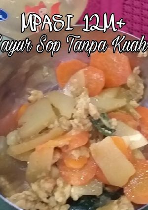 Foto resep MPASI 12M+ - Sayur Sop Tanpa Kuah