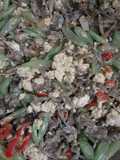 (Baby Crab) Jangkang Tumis Buncis Telor