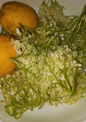Bodzaszörp cukorral vagy édesítővel recept fotója