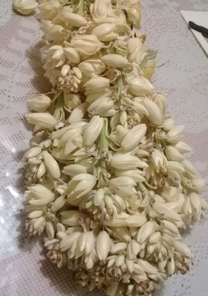 Una foto de Flor de pita o Chocha 🌵🌼