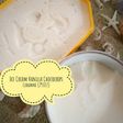 Ice Cream Vanilla Chocochips