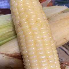 รูปของ Jagung Putih Rebus