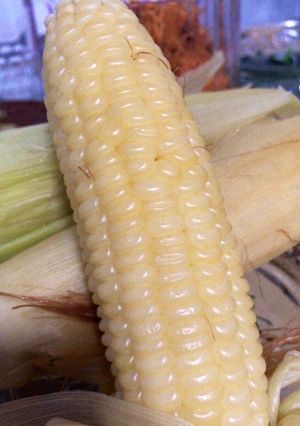 Foto resep Jagung Putih Rebus
