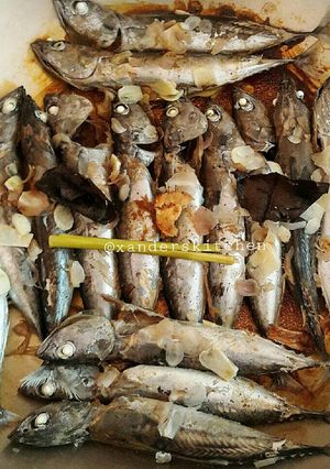 Foto resep PINDANG TONGKOL