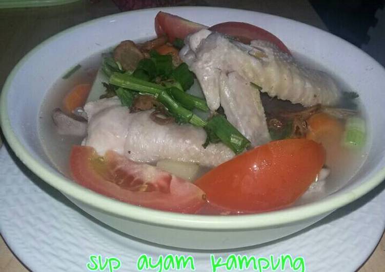 Resep sup ayam kampung oleh ekapuspita - Cookpad