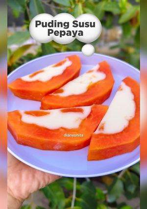 Foto resep Puding Susu Pepaya