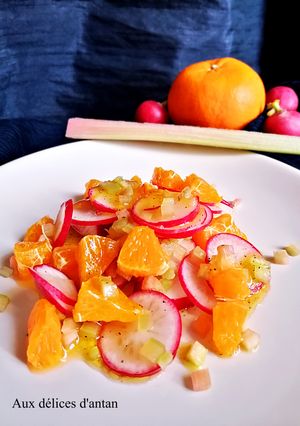 Une photo de Salade de radis, clémentine et rhubarbe "crue"