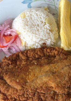 Una foto de Huevera de Pescado / Harina de Maíz