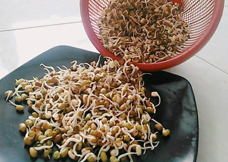 Tauge kacang ijo