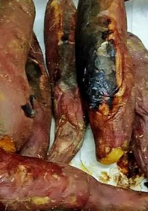 صورة لوصفة بطاطا مشويه 😋😋😋😋