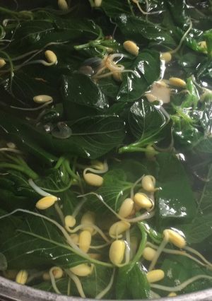 Foto resep Sayur Bening Kencur