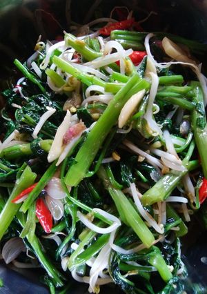 Foto resep Tumis kangkung tauge