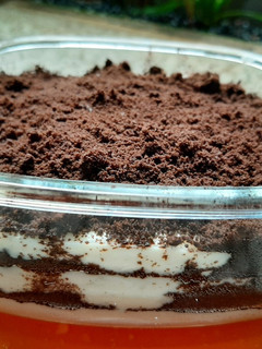 Foto resep Cheese Cake Oreo Dessert