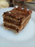 Chocotorta bicolor