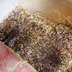 A picture of Simply Tiramisu.
