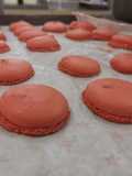 Macarrons