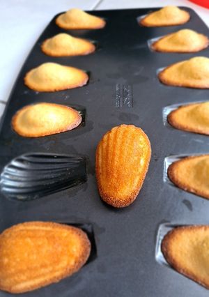Une photo de Madeleines time !!