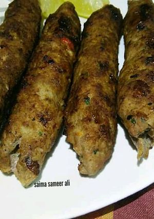 A picture of Beef seekh kabab.