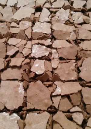 Una foto de Brownies de Silvia