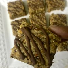 A picture of Protein Bites.