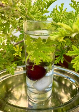 Φωτογραφία της συνταγής Detox με αρμπαρόριζα και βύσσινα