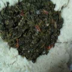 A picture of Managu.