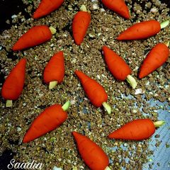A picture of Carrot sandesh.