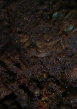 Foto resep Ayam pedas gongseng kelapa