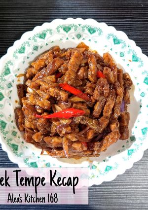 Foto resep #254 Orek Tempe kecap