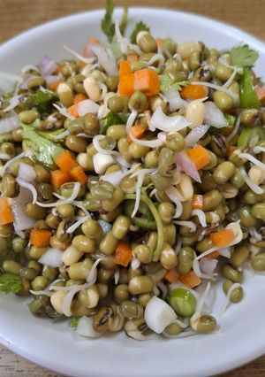A picture of Moong sprouts chat.