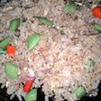 Nasi goreng Cepat