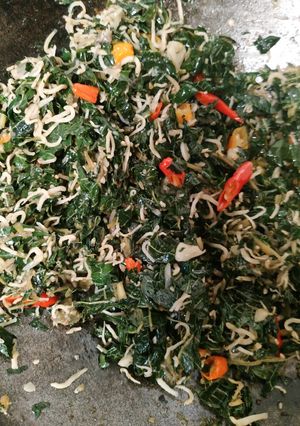 Foto resep Tumis daun pepaya teri medan