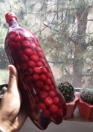 عکسی از دستور ترشی آلبالو 😋😋😋