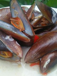 Foto resep Tumis Kerang Hijau