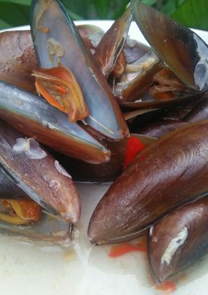 Foto resep Tumis Kerang Hijau