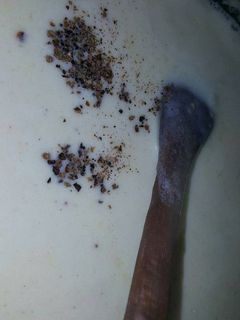 Una foto de Salsa blanca basica o bechamel