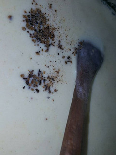 Una foto de Salsa blanca basica o bechamel