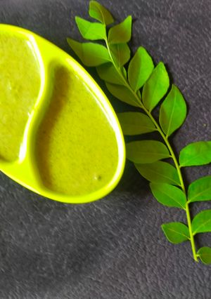 લીમડા ફુદીના ની ગ્રીન ચટણી (Neem Mint Green Chutney Recipe In Gujarati) રેસીપી મુખ્ય ફોટો
