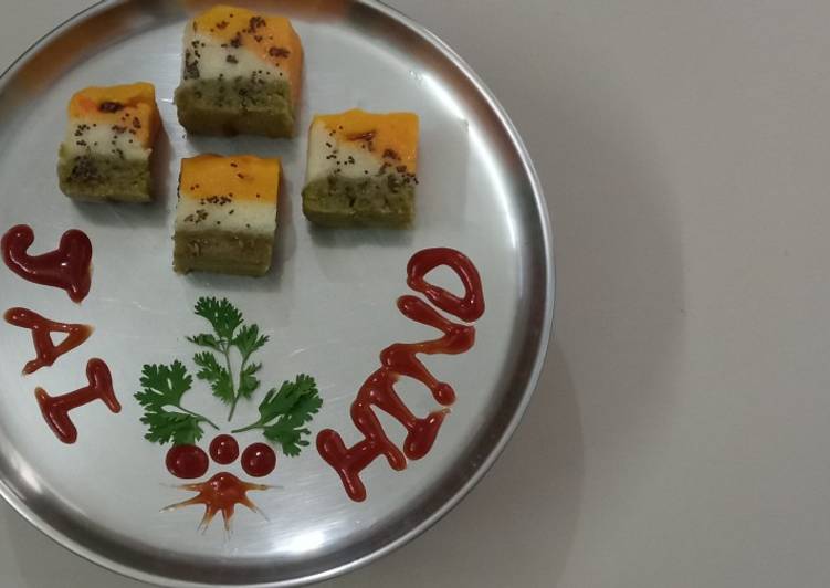 Simple Way to Prepare Quick Tricolour Instant Rava Dhokla !