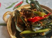 Gambar kerang hijau