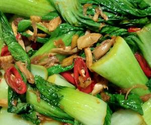 Fresh Menyajikan Tumis pakcoy Suir ayam Yummy Mantul Fresh Menyajikan Tumis pakcoy Suir ayam Yummy Mantul