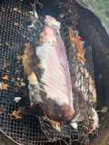 Pescado asado al carbón