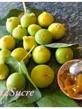 Confiture de figues au porto & cardamome