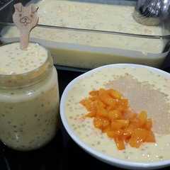 A picture of Mango Sago.