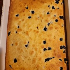 A picture of Our favorite gf blueberry cake.