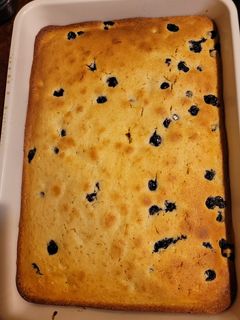 A picture of Our favorite gf blueberry cake.